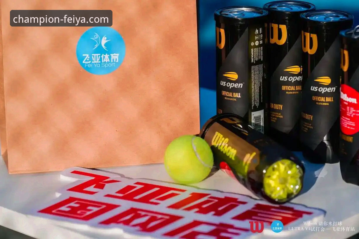 飞亚体育最新版本 vs 火麒麟：哪个更适合你的体育竞技需求？